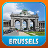 Brussels Offline Travel Guide - Travel Buddy
