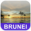 Brunei Offline Map