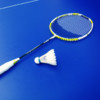 I Love Badminton- Video Colletions of Match and Tutorial for Badminton