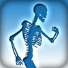 Skeletal System Terminology