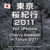 Cherry blossom in Tokyo 2011