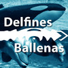 HD Delfines y Ballenas