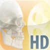 Dentapedia HD (Orthognathic surgery)