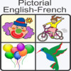 Pictorial English French Dictionary