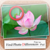 Find Photo Differences Free 2 for iPad