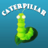 The Bouncing Caterpillar - Die springende Raupe