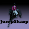 Equestrian Jumping Exercises - Jump Sharp