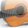 Discover Musical Instruments Free