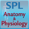 Anatomy & Physiology Flash Cards for iPad