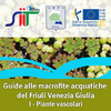 Guide alle macrofite acquatiche del Friuli Venezia Giulia I - Piante vascolari