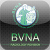 BVNA Radiology Revision