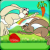 Hungry Rabbit Run - Crazy Bunny Jump To Eat Yummy Carrot (Free Game)