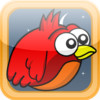 Clumsy Fly - The Adventure of Jumping Clumsy Bird