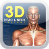 3D Head and Neck Anatomy