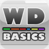 Web Design Basics - HTML and CSS Code