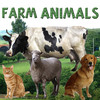Sounds of Farm Animals