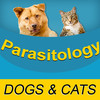 Parasitology Flash Cards