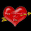Valentine's Day 2013 : Picture editor and more !