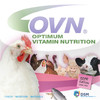 DSM Poultry Vitamin Quiz