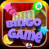 Mega Casino Bingo Game