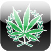 Ministry of Cannabis HD