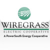 Wiregrass Electric Mobile