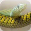 Explore Your World: Snakes