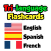 Flashcards - English, Spanish, French