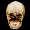 Dental Panoramic Radiology