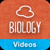 iGCSE Biology:(Edexcel) Revision Videos