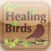 Healing Birds for iPad