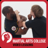 Martial Arts College: Video Lessons