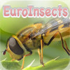 EuroInsects