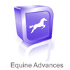 Equine Joint Injections