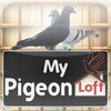 My Pigeon Loft