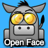 Secure Open Face Chinese Poker FREE