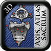 Axis Atlas and Sacrum 3D