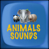 Animal Sounds ®