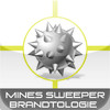 Mines Sweeper - Brandtologie