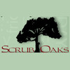 Scrub Oaks