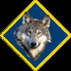 Pack Badges - a tracker for Boy Scouts of America® Cub Scout and Webelos Rank Advancement and other Scouting® award requirements