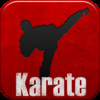 Karate Fighter FREE