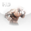 Real Fighters for iPad