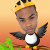 King Bachy Bird