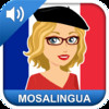 Learn French quickly with SRS Memorization - MosaLingua (English -> French)