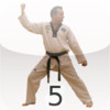 Taekwondo Pattern 5