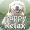 Puppy Relax