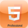 HTML5 Professional