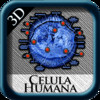 Celula Humana 3D st