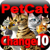 Petting Cat Change 10